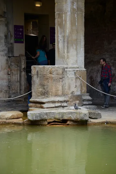 DSC_2661 (Large).JPG